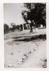 Olive Grove owner's home where he kept a close eye on his pretty daughter
